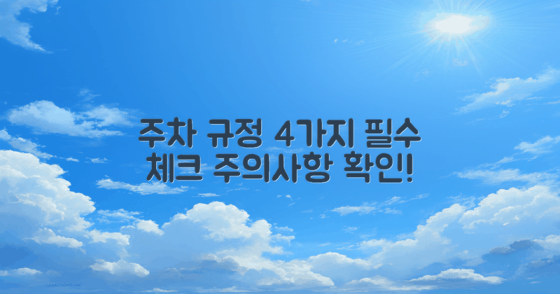 4가지 주차 규정