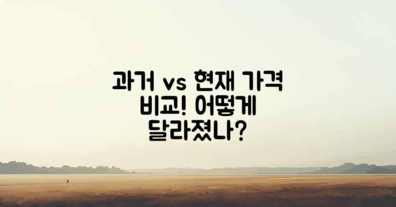 과거와 현재 가격 비교