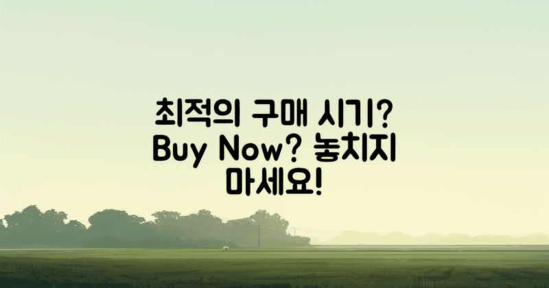최적의 구매 시기는 언제일까?