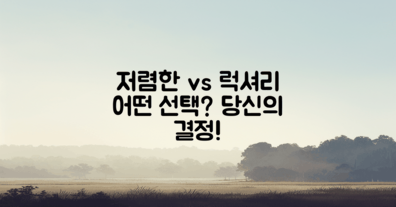 저렴한 vs 고급스러운 선택