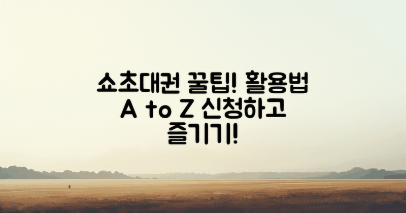 쇼초대권의 활용 팁