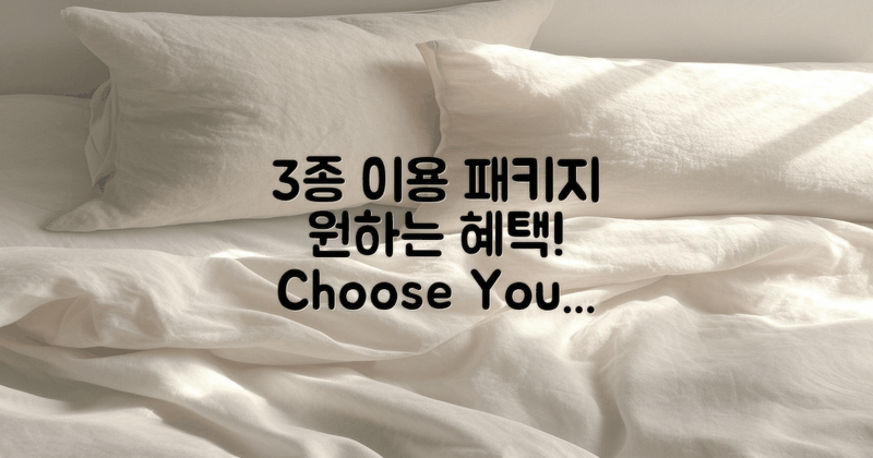 3가지 종류의 이용 패키지