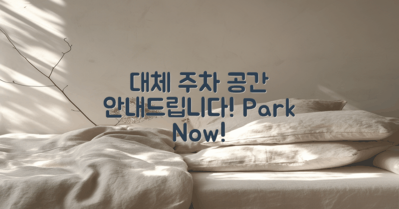 대체 주차 공간 안내