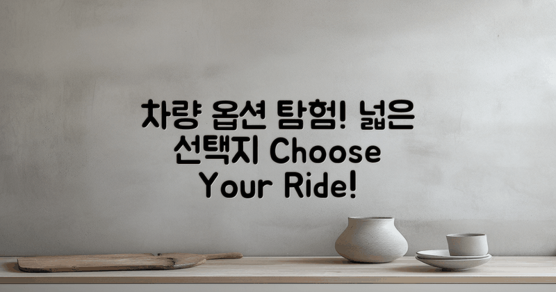 다양한 차량 옵션 소개