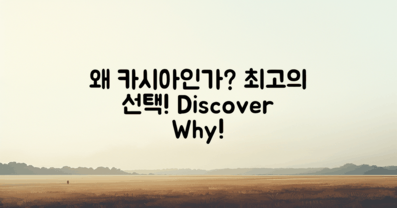 왜 카시아를 선택해야 할까?