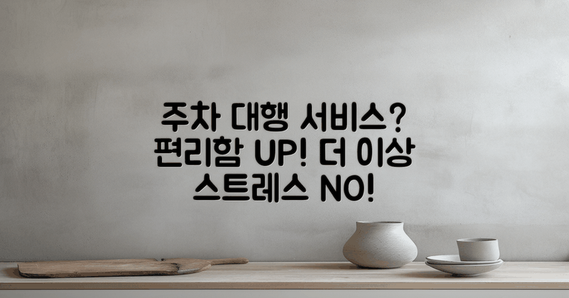 자동차 주차 대행 서비스란?