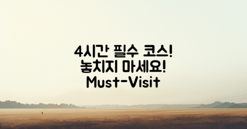 4시간 내 방문 필수 코스