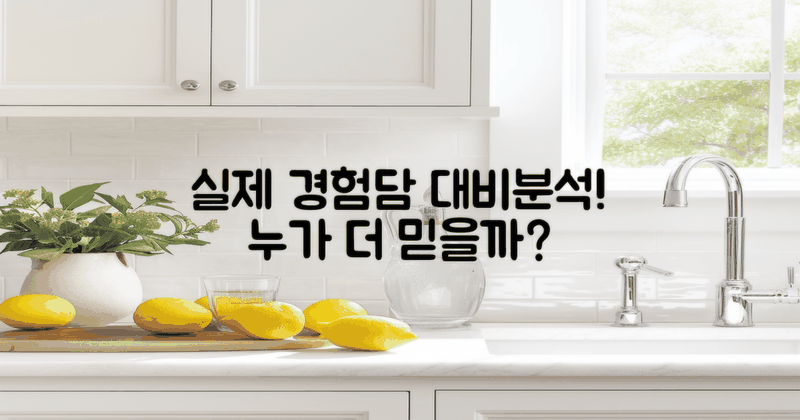 실제 경험담 대 비교