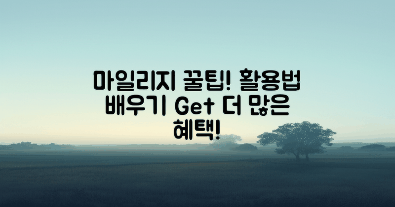 마일리지 활용법 배우세요