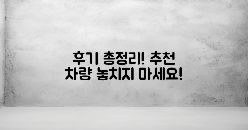 후기 요약 및 추천 차량