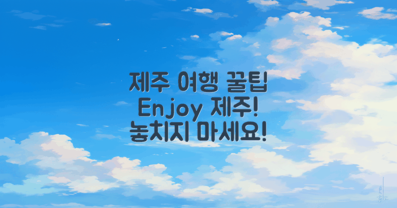 제주 여행 중 활용 팁