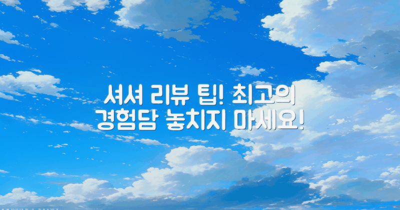 셔셔 이용 후기와 팁 공유