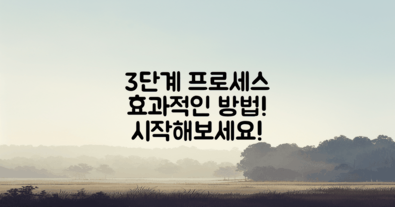 3단계 프로세스