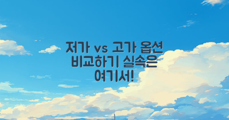저가 vs 고가 옵션