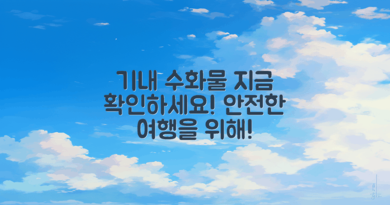 지금 기내수화물 확인하세요