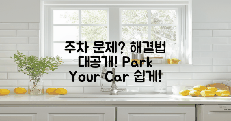 주차 문제 해결법은?