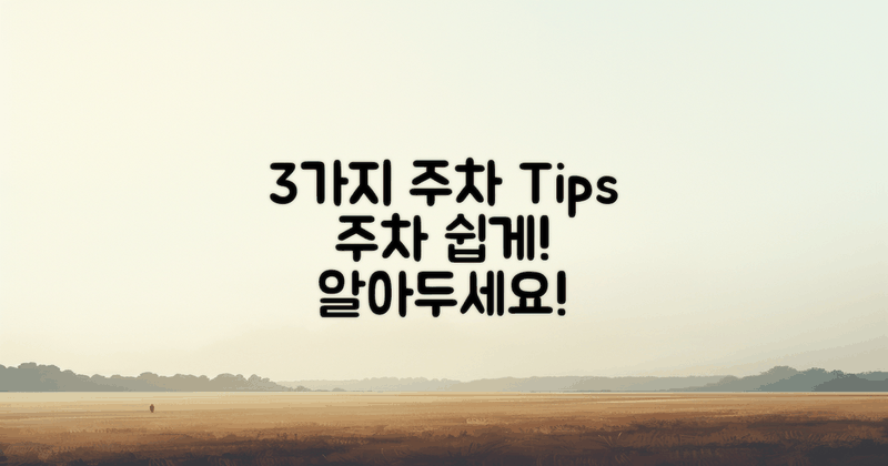 3가지 주차 요령