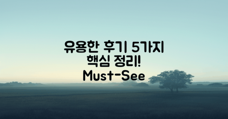 5가지 유용한 후기 요약