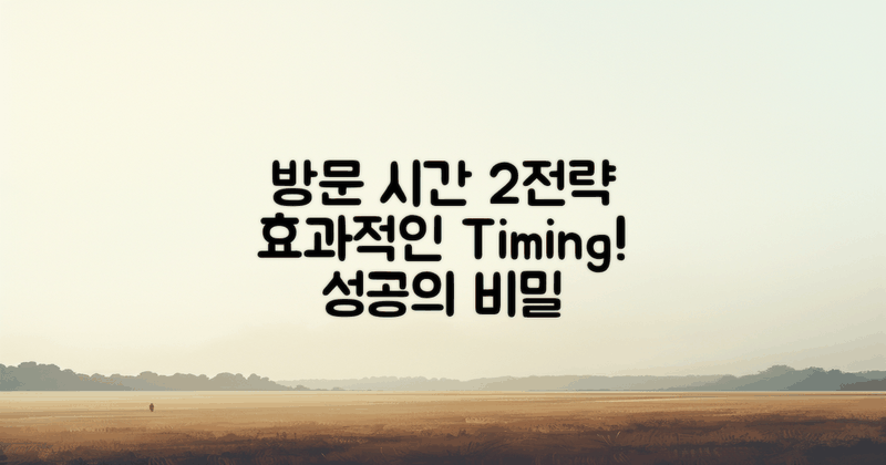 2가지 방문 시간 전략