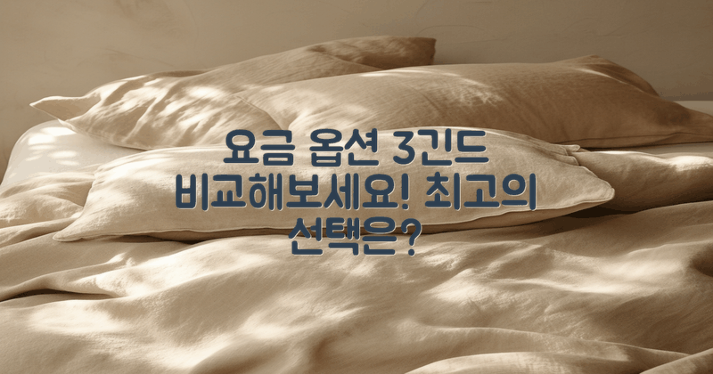 3가지 요금 옵션 비교