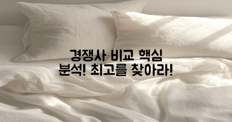 경쟁업체와의 비교