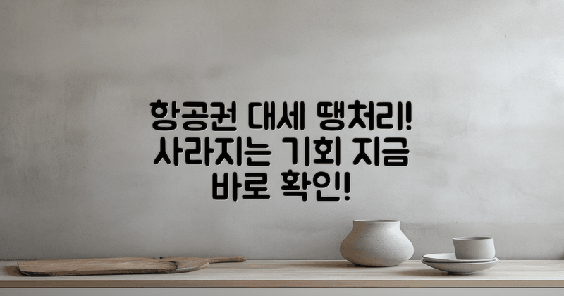 항공권 땡처리란?